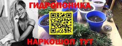 трава Комсомольск-на-Амуре