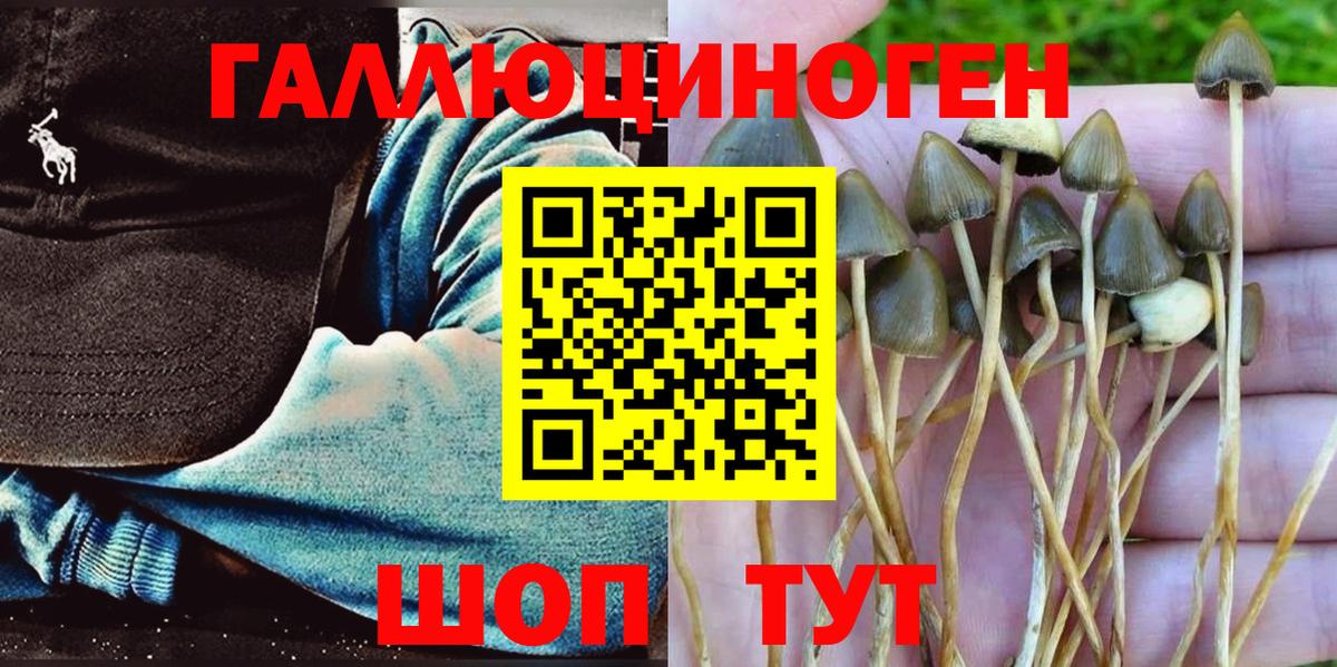 Галлюциногенные грибы MAGIC MUSHROOMS Гусев