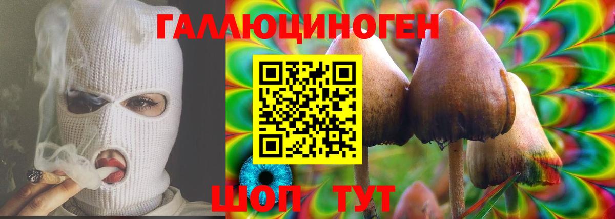 Гусев  Галлюциногенные грибы прущие грибы  Вход с VPN  Галлюциногенные грибы прущие грибы 
